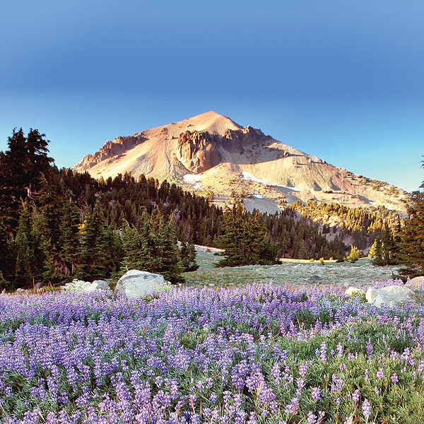Lassen Peak is the southern-most volcano in the Shasta-Cascade range, last erupting a little over a century ago. 