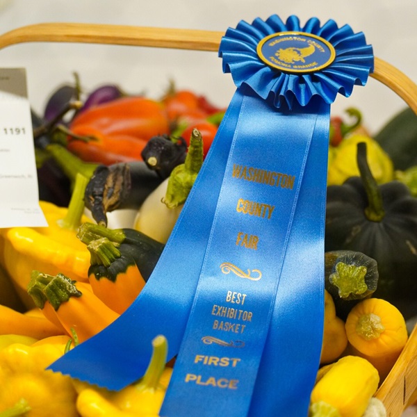 Washington County Fair - Webpage Image