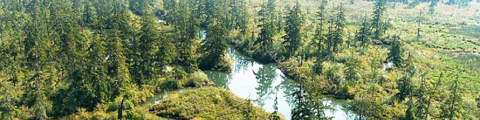Montesano Chamber of Commerce    - Header Image