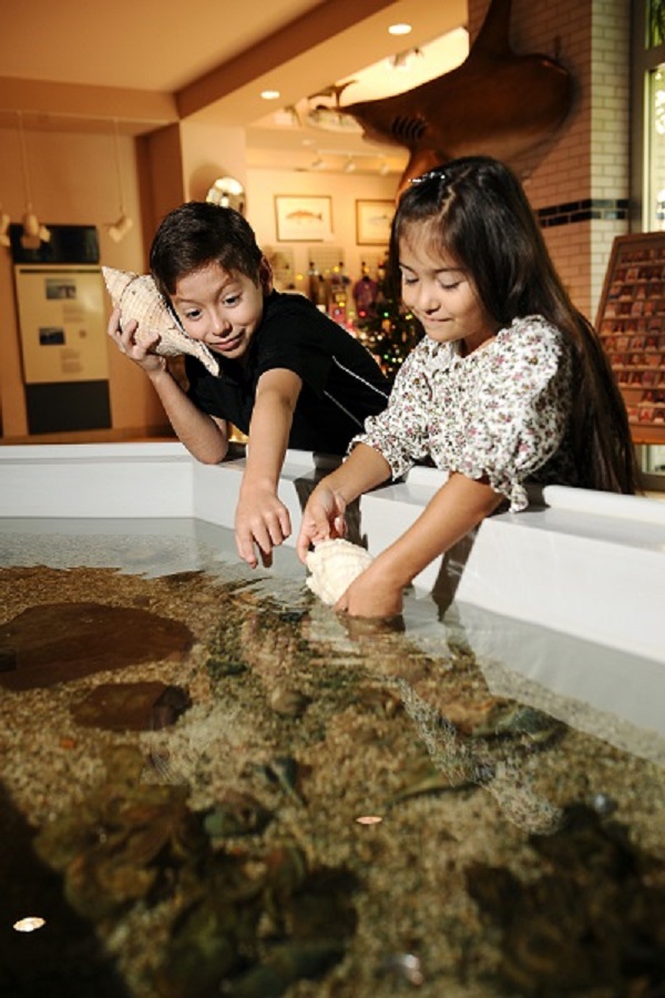 Sea Center Texas - Display Image