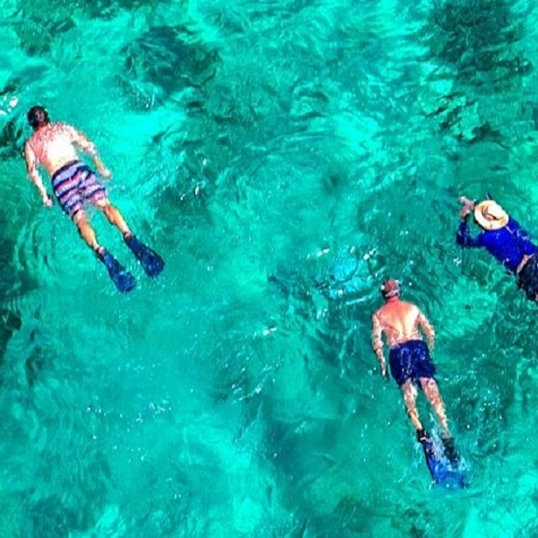 The crystal clear waters of Islamorada provide an enhanced snorkeling experience.