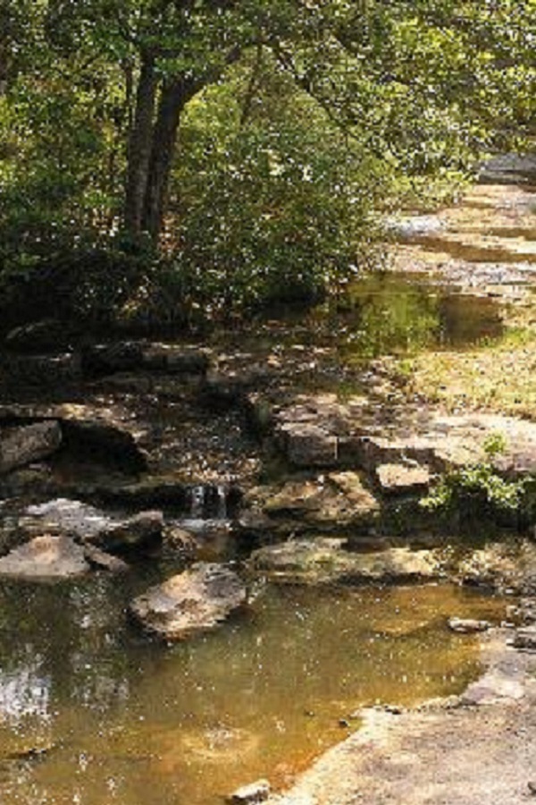 Little Bayou Pierre Cascade  - Display Image