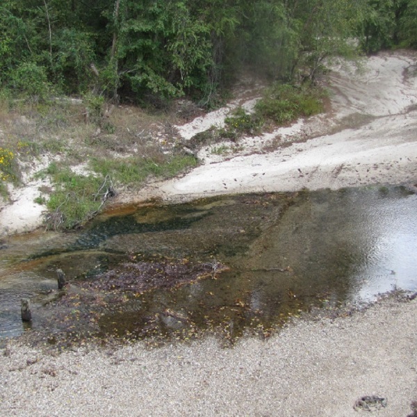 The Little Bayou Pierre. 