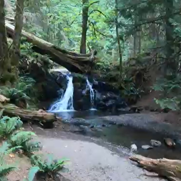 Rustic Falls - Webpage Image