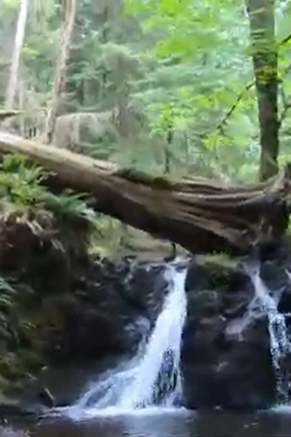Rustic Falls - Display Image
