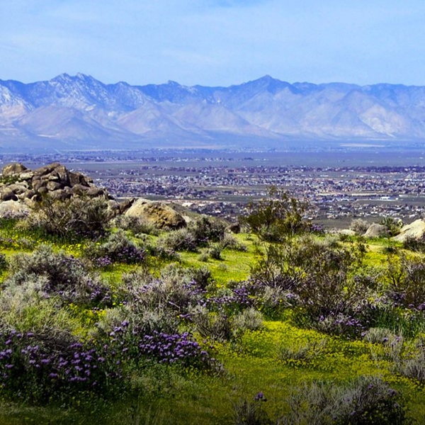 Ridgecrest is surrounded by stunning desert landscapes, including the nearby Mojave Desert and the Red Rock Canyon State Park. 