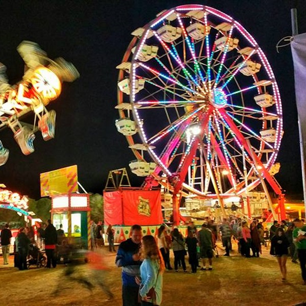 Desert Empire Fair - Webpage Image