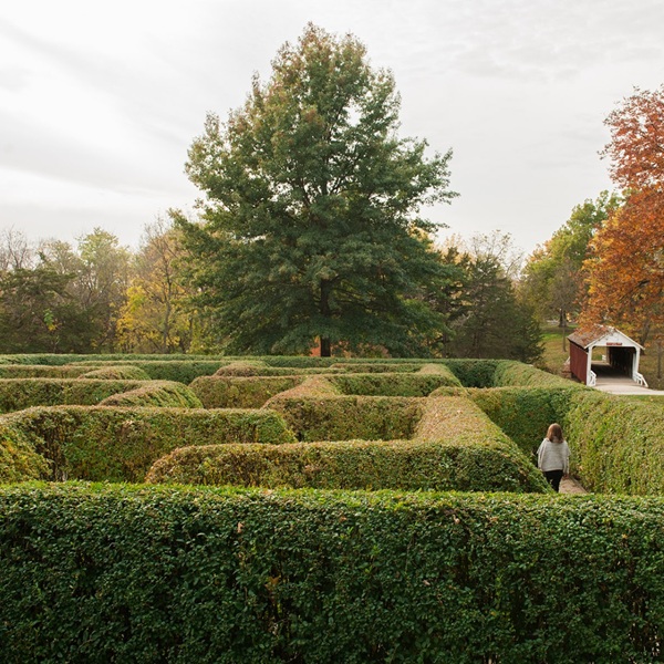 Winterset City Park features a log cabin, hedge maze, playgrounds, picnic areas, a campground, and the Cutler-Donahoe Bridge—all set within a 76-acre green space. 