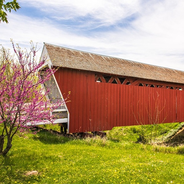Imes Covered Bridge - Webpage Image