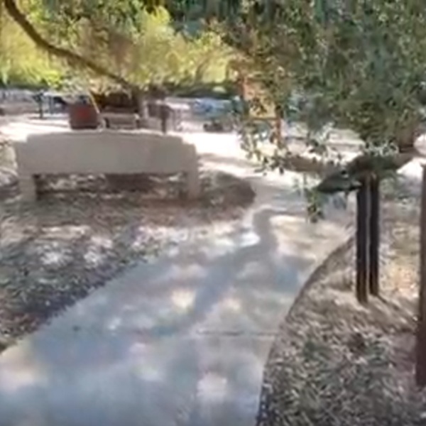 Designed for self-guided exploration, foot paths provide benches and shaded areas to rest while taking in the historical surroundings. 