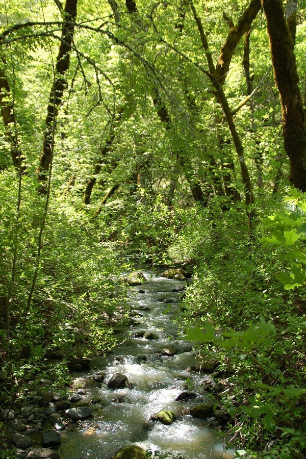 Visit Calistoga - Display Image