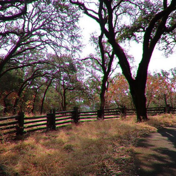 The surrounding park area features picnic tables, shaded oak groves, and walking paths, making it a quiet stop just minutes from the famous vineyards of Napa Valley. 