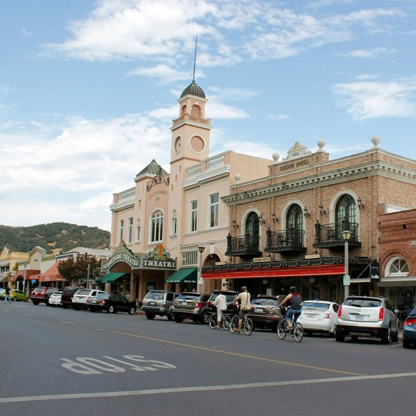 The park centers around the historic Sonoma Plaza, the largest town plaza in California. The plaza still reflects the traditional Spanish colonial town layout, with government, military, religious, and residential buildings arranged around it. 