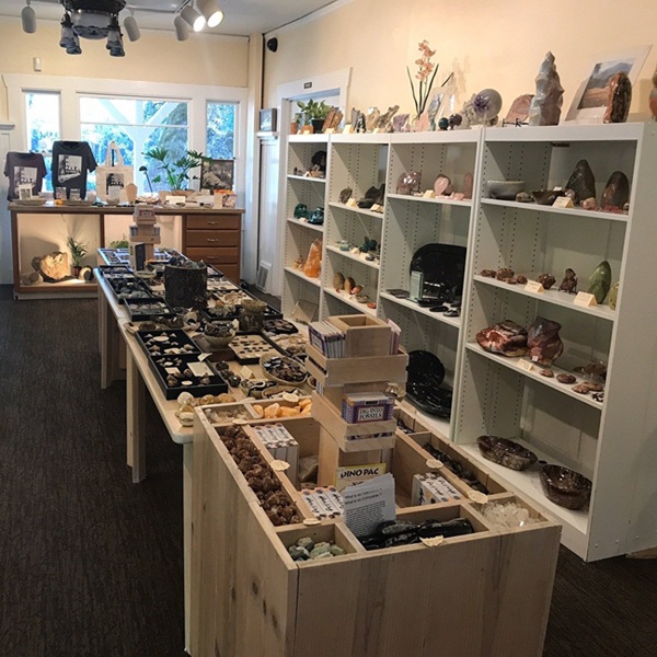 The property also includes a small museum and gift shop, where visitors can learn more about fossil formation and view additional examples of petrified wood. 