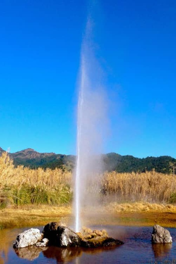 Old Faithful Geyser of California - Display Image