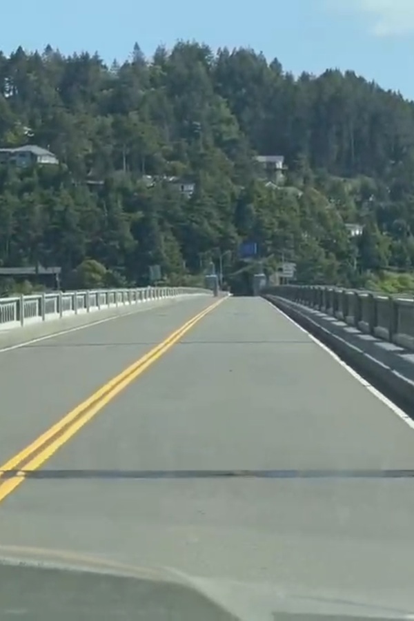 Issac Lee Patterson Bridge    - Display Image