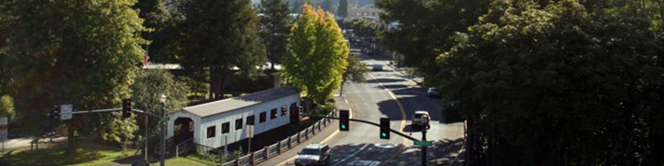 Cottage Grove Area Chamber of Commerce - Header Image