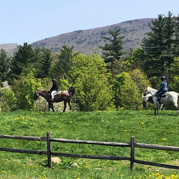 Situated in the heart of Vermont's Green Mountains, Mountain View Ranch boasts stunning views of rolling hills, verdant forests, and majestic peaks. 