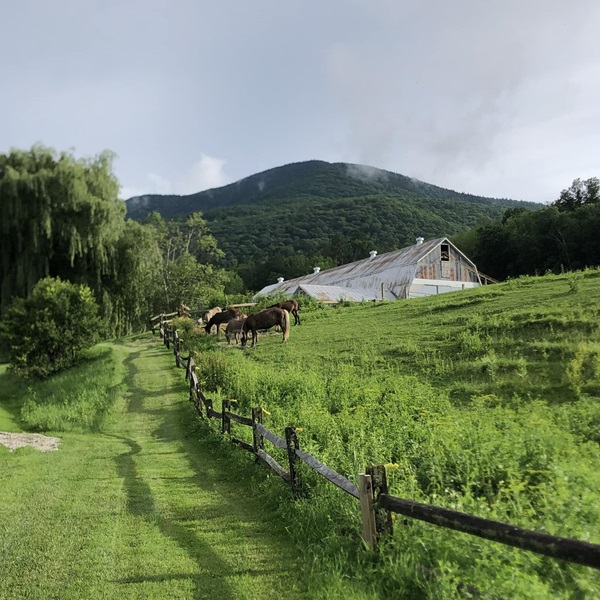The ranch's idyllic setting provides the perfect backdrop for outdoor adventures and relaxation in nature. 