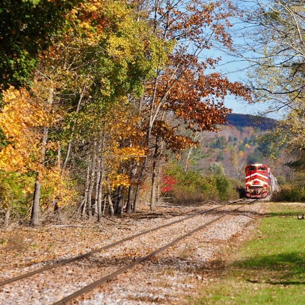 Dorset is a year-round destination, with each season offering its unique attractions, including fall foliage hikes and train rides. 