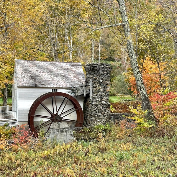 Dorset Vermont Chamber of Commerce  - Webpage Image