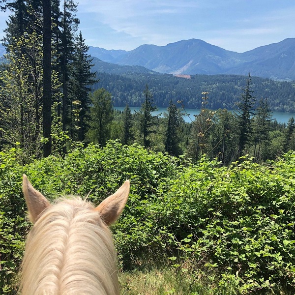 Riders can enjoy panoramic views of snow-capped mountains, dense forests, and meandering rivers as they traverse the trails. 