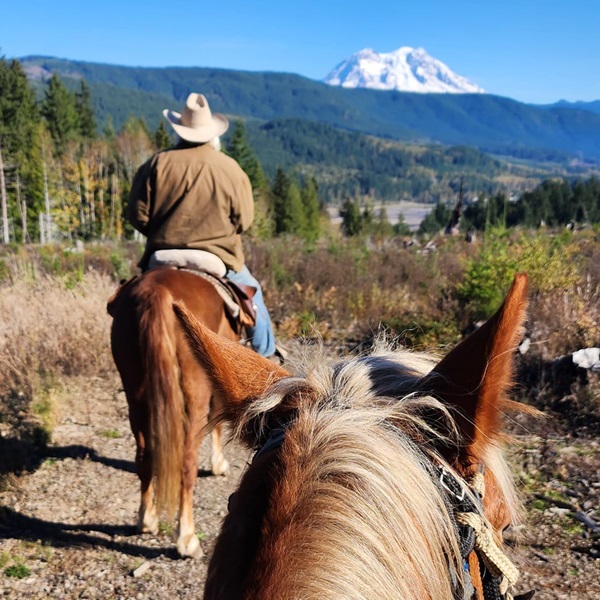 The experienced guides are knowledgeable about the local area and can provide interesting insights into the natural history, flora, and fauna of the region. 