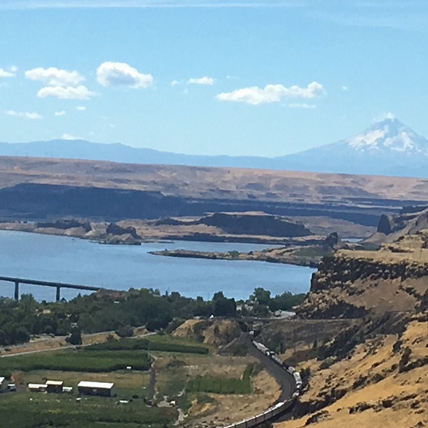 Located in the heart of wine country, Goldendale offers several local wineries where visitors can enjoy wine tastings, tours, and scenic vineyard views. 