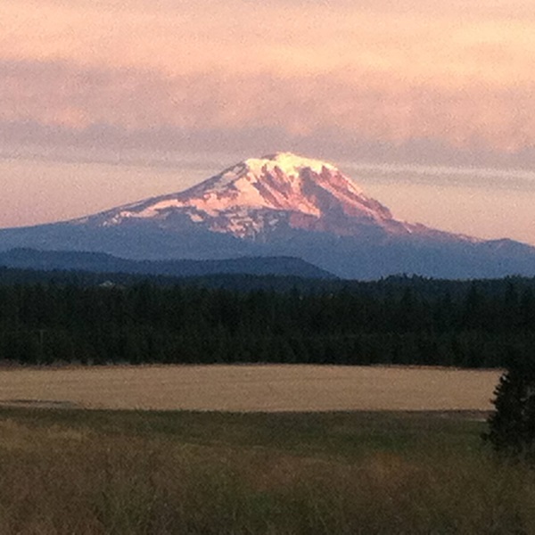 Greater Goldendale Area Chamber of Commerce  - Webpage Image