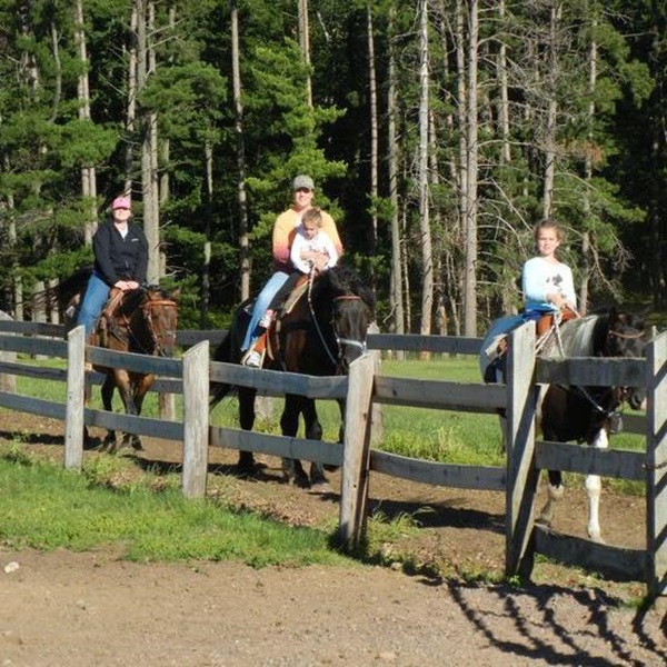 Riders can explore the stunning natural beauty of the area while enjoying a leisurely ride on well-trained horses. 