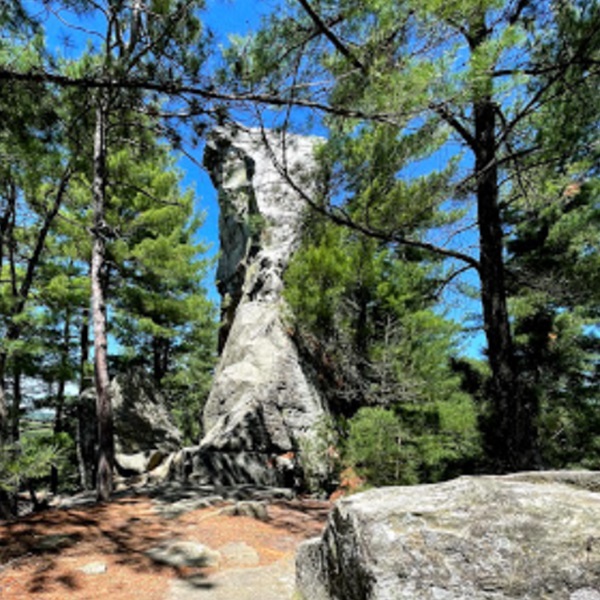 The bluff is a prominent sandstone formation rising above the surrounding forested landscape. 