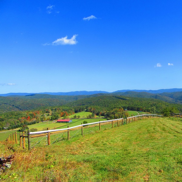 Nestled in the picturesque mountains of West Virginia, Shalimar Farm boasts stunning views of the surrounding countryside. 