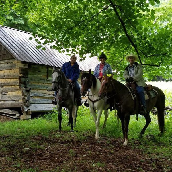 Shalimar Farm is situated in the historic town of Cass, known for its rich heritage as a logging town in the late 19th and early 20th centuries. 