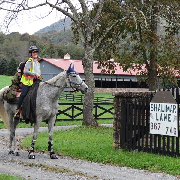 Shalimar Farm offers visitors a chance to experience life on a working farm, allowing guests to participate in farm chores. 