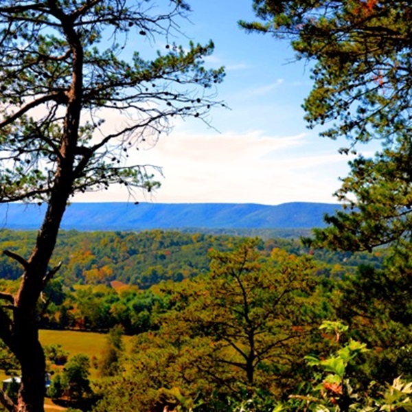 Warm Springs Ridge is a scenic overlook that offers beautiful views of the town and surrounding area, perfect for a relaxing hike or a picnic with a view. 