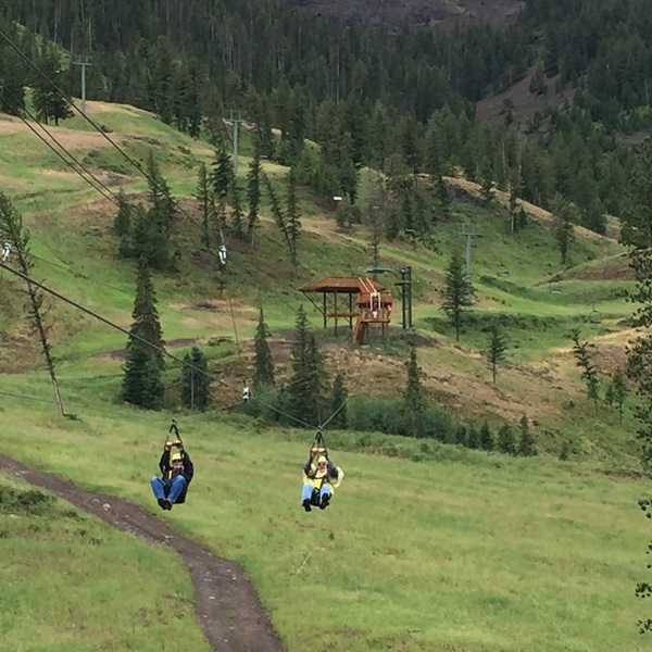 The park is designed to be family-friendly, with zip lines and courses suitable for a range of ages and skill levels and options for both children and adults. 