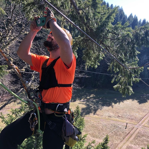 Visitors can start their ziplining adventure from custom-built treehouse platforms, adding a whimsical and immersive experience among the treetops. 