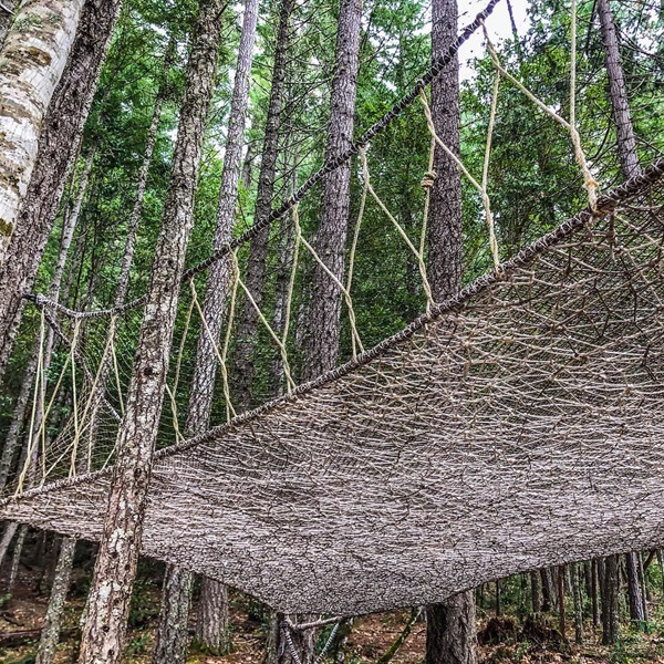 The ziplines are designed to have minimal impact on the environment, allowing guests to enjoy an eco-friendly adventure in the heart of Oregon’s natural beauty. 
