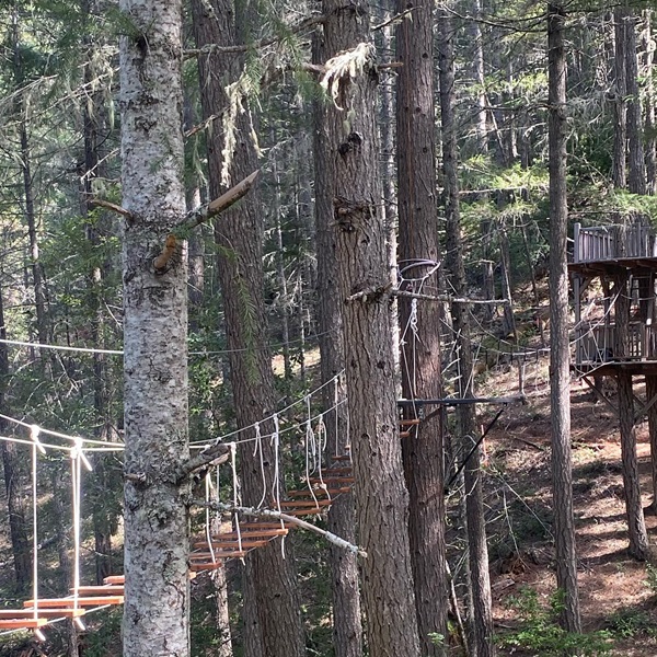 Out 'n' About Treesort (Treehouse Ziplines) - Webpage Image