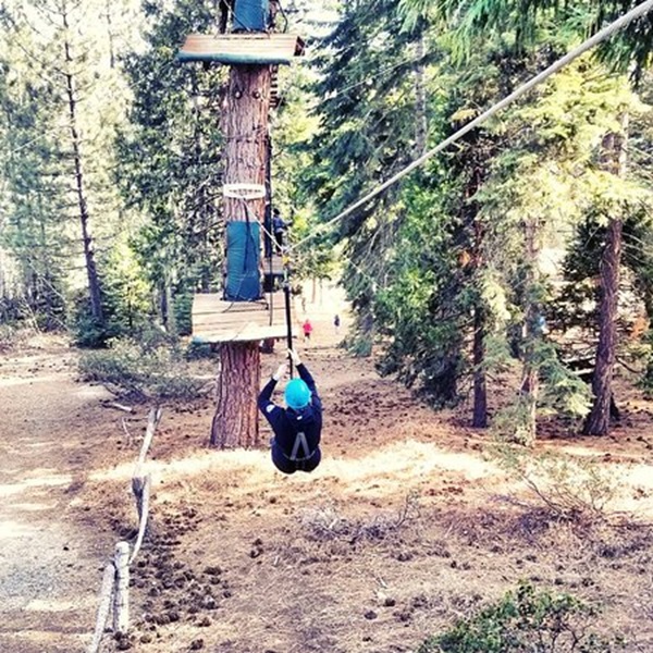The adventure courses include tree platforms at various heights, providing opportunities to rest and enjoy scenic views while navigating the obstacles. 