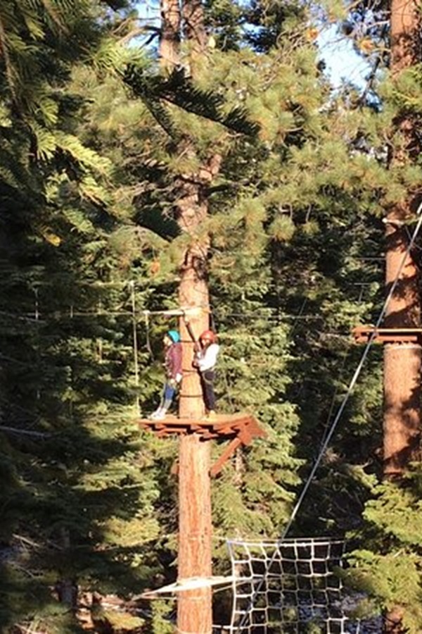 Tahoe Treetop Adventure Park   - Display Image