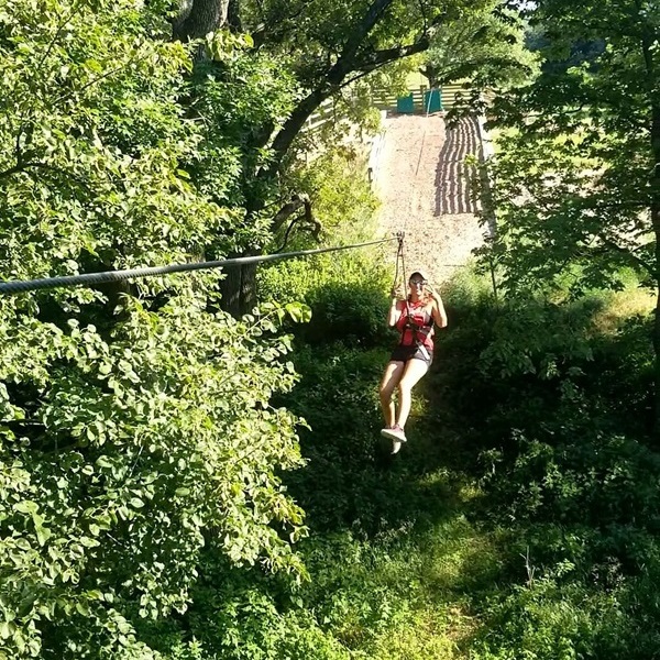  Go Ape Zipline and Adventure Park offers visitors the chance to explore the forest canopy through a series of zip lines, rope ladders, and treetop crossings, 