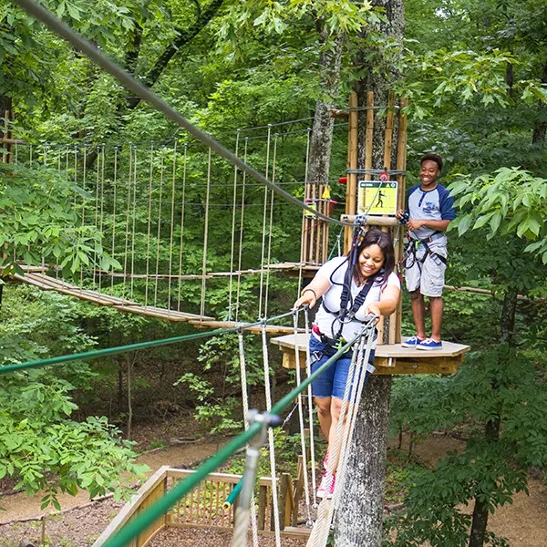 Go Ape Zipline and Adventure Park is designed to be family-friendly, with courses suitable for various age groups and skill levels. 