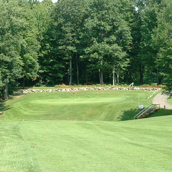 The area is known for its well-maintained golf courses, offering picturesque settings and challenging play for golf enthusiasts. 