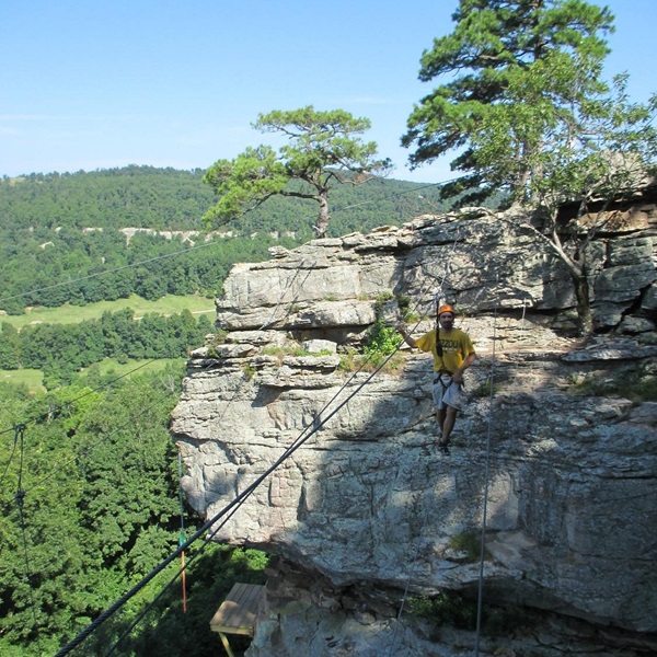 Visitors can experience breathtaking views of the Ozark Mountains while ziplining, offering a unique perspective of the rugged Arkansas landscape. 