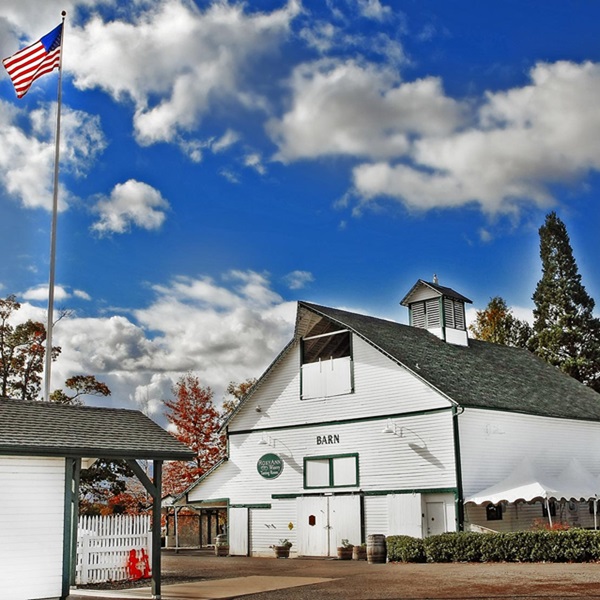 The winery is located on a historic estate with a charming and rustic ambiance, blending modern wine-making techniques with historical charm. 