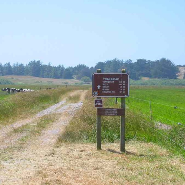 Yontocket is considered the most sacred site of the Tolowa Dee-ni' people, believed to be the site of their creation, with many of their origin stories and religious practices centered there. 