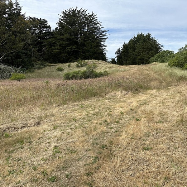 Yontocket remains a significant site for the Tolowa Dee-ni' Nation today, and although much of the land was lost, efforts are ongoing to preserve and protect what remains. 