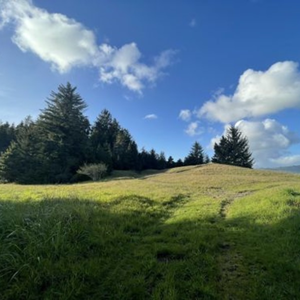 Yaa-daa-k'vt-Tolowa Dunes State Park - Webpage Image