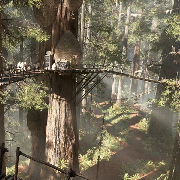 The Stout Grove, located in Jedediah Smith Redwoods State Park, served as the backdrop for the forest moon of Endor, home of the Ewoks. 